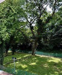 Blk 81 Tiong Bahru Estate (Bukit Merah), HDB 3 Rooms #504117351